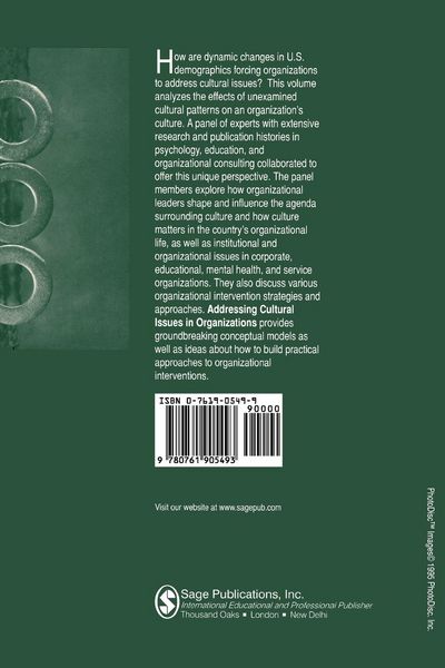 Produktbild: Addressing Cultural Issues in Organizations