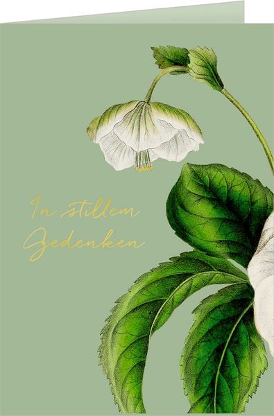 Produktbild: Gru&szlig;karten-Set &ndash; Trauerkarten