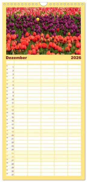 Produktbild: Familienplaner 2026 - Tulpentraum mit 5 Spalten (Wandkalender, 21 x 45 cm) CALVENDO