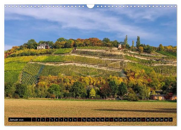 Produktbild: Saale-Unstrut - Region aus Wein und Stein (Wandkalender 2026 DIN A3 quer), CALVENDO Monatskalender