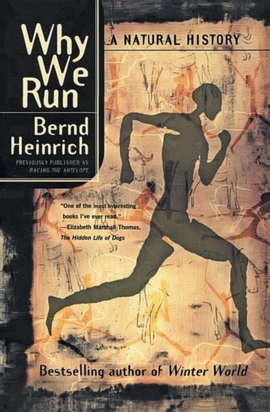 Produktbild: Why We Run