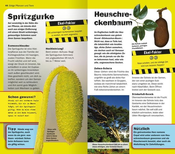 Produktbild: Die 100 ekligsten Dinge der Welt