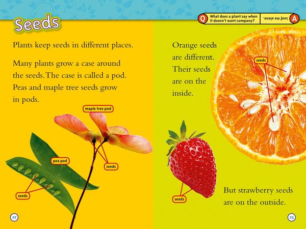 Produktbild: Seed to Plant