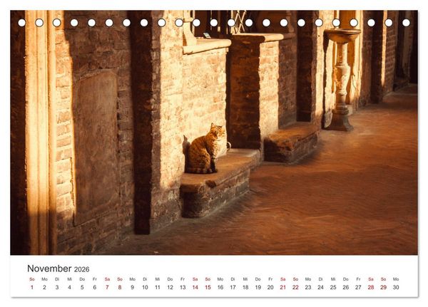 Produktbild: Bologna - Impressionen der wundersch&ouml;nen Universit&auml;tsstadt. (Tischkalender 2026 DIN A5 quer), CALVENDO Monatskalender