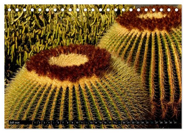 Produktbild: Vulkaninsel Lanzarote (Tischkalender 2026 DIN A5 quer), CALVENDO Monatskalender