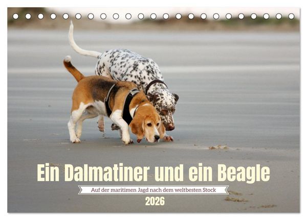 Produktbild: Ein Dalmatiner und ein Beagle - Auf der maritimen Jagd nach dem weltbesten Stock (Tischkalender 2026 DIN A5 quer), CALVENDO Monatskalender