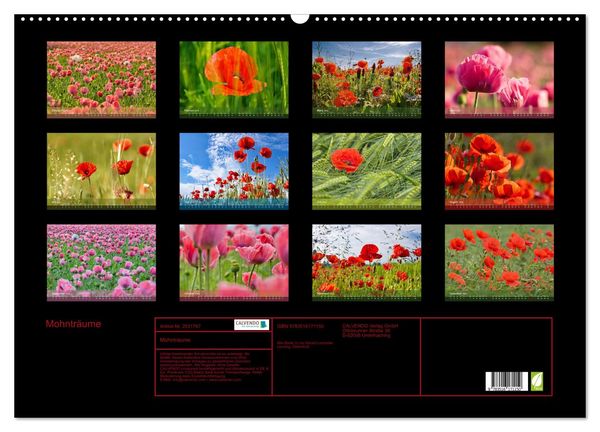Produktbild: Mohntr&auml;ume (Wandkalender 2026 DIN A2 quer), CALVENDO Monatskalender