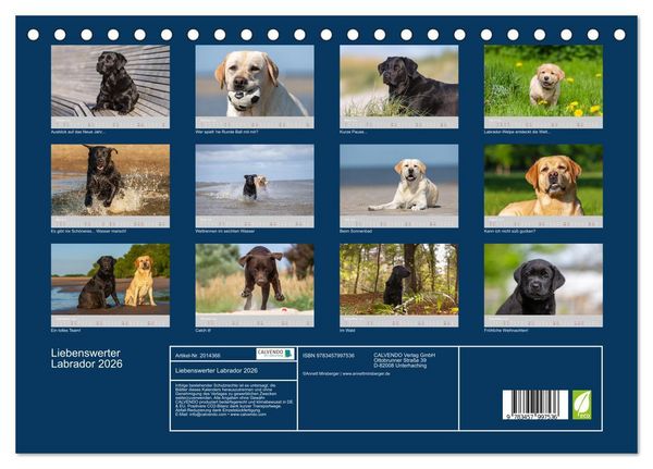 Produktbild: Liebenswerter Labrador 2026 (Tischkalender 2026 DIN A5 quer), CALVENDO Monatskalender