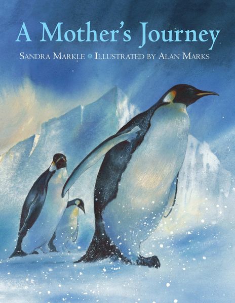 Produktbild: A Mother's Journey