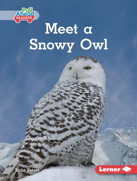 Produktbild: Meet a Snowy Owl