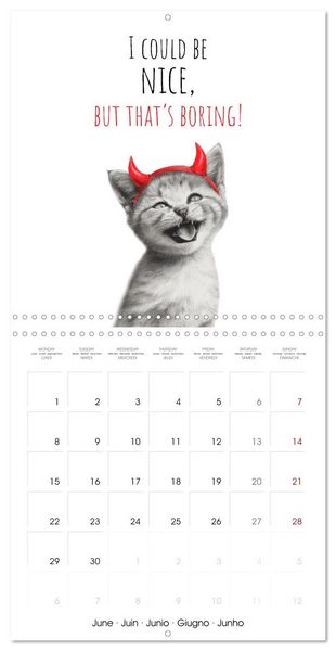 Produktbild: Purrfectly Cool Cats (Wall Calendar 2026 12 &times; 12 Inch) CALVENDO 12 Month Wall Calendar
