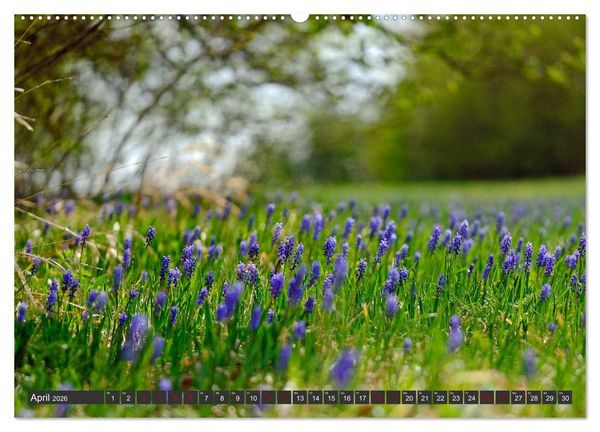 Produktbild: Natursch&auml;tze der S&uuml;dwestalb (hochwertiger Premium Wandkalender 2026 DIN A2 quer), Kunstdruck in Hochglanz