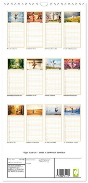 Produktbild: Familienplaner 2026 - Fl&uuml;gel aus Licht - Ballett in der Poesie der Natur mit 5 Spalten (Wandkalender, 21 x 45 cm) CALVENDO