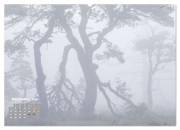 Produktbild: Naturschauspiele in Schottland (hochwertiger Premium Wandkalender 2026 DIN A2 quer), Kunstdruck in Hochglanz