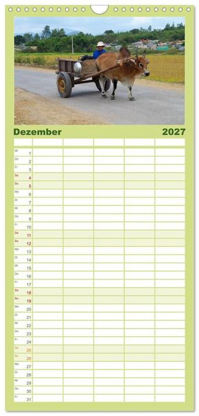 Produktbild: Familienplaner 2027 - K&uuml;he mit H&ouml;rnern mit 5 Spalten (Wandkalender, 21 x 45 cm) CALVENDO
