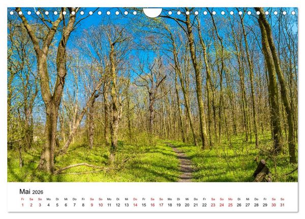 Produktbild: W&auml;lder: die letzte Zuflucht f&uuml;r die Wildnis (Wandkalender 2026 DIN A4 quer), CALVENDO Monatskalender
