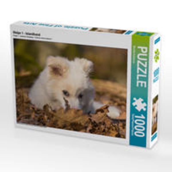 CALVENDO Puzzle Welpe 1 - Islandhund 1000 Teile Lege-Größe 64 x 48 cm Foto-Puzzle Bild von Monika Scheurer