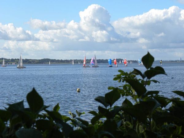 Produktbild: CALVENDO Puzzle Regatta auf der Gro&szlig;en Breite | 1000 Teile Lege-Gr&ouml;&szlig;e 64x48cm Foto-Puzzle f&uuml;r gl&uuml;ckliche Stunden