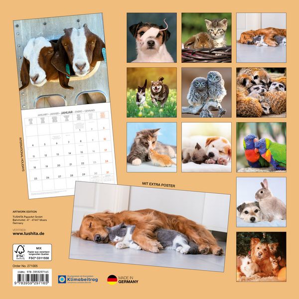 Produktbild: Kleine Freunde / Little Friends 2027