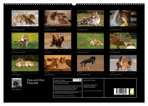 Produktbild: Ziva und ihre Freunde (hochwertiger Premium Wandkalender 2026 DIN A2 quer), Kunstdruck in Hochglanz