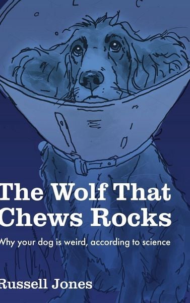 Produktbild: The Wolf That Chews Rocks