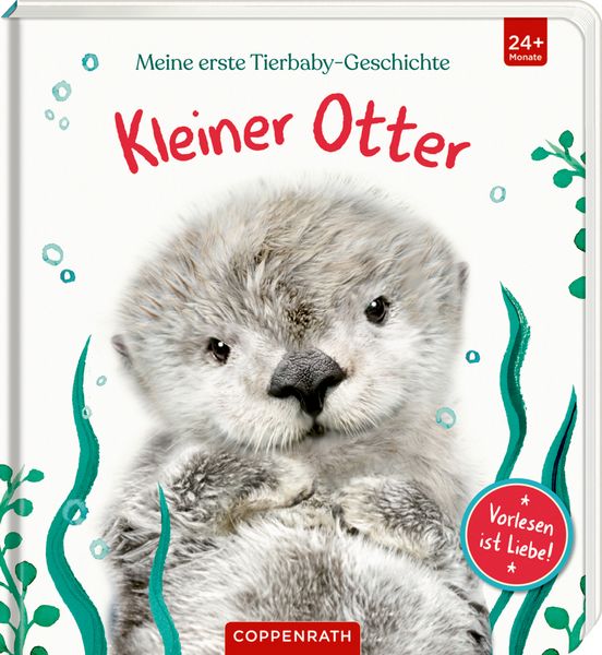 Produktbild: Meine erste Tierbaby-Geschichte: Kleiner Otter