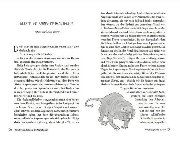 Produktbild: Die seltsamsten Tiere der Welt &ndash; Skurrile Sch&ouml;pfungen der Evolution. Tierportr&auml;ts, die Darwin und Humboldt sicher nicht kannten.