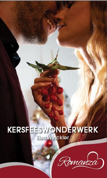 Produktbild: Kersfeeswonderwerk