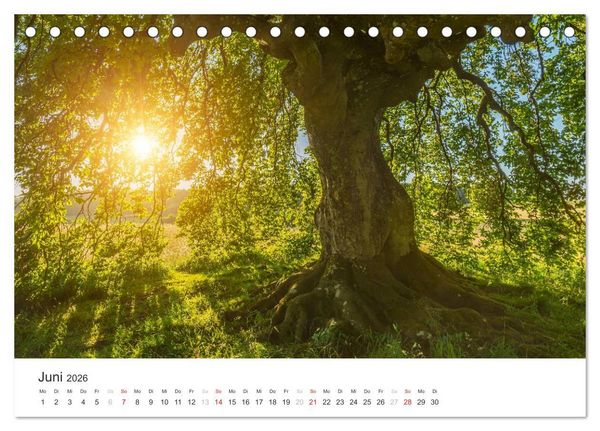 Produktbild: Blicke in die Eifel (Tischkalender 2026 DIN A5 quer), CALVENDO Monatskalender