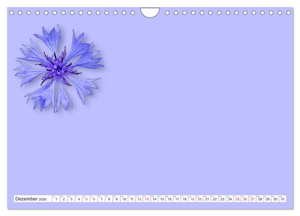 Produktbild: DIY POESIE - BASTELKALENDER (Wandkalender 2026 DIN A4 quer), CALVENDO Monatskalender