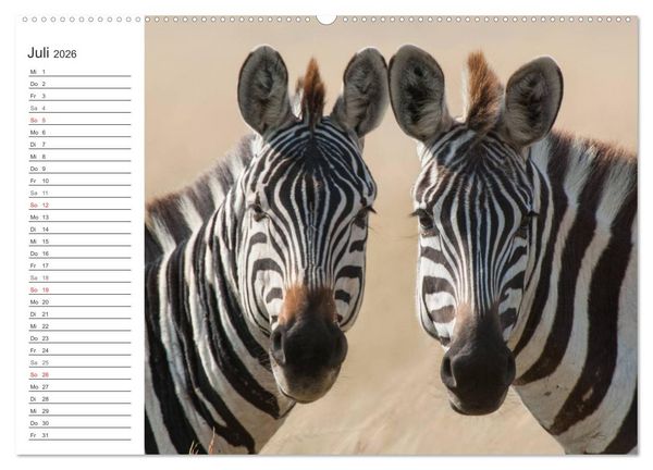 Produktbild: Emotionale Momente: Mein wildes Afrika (Wandkalender 2026 DIN A2 quer), CALVENDO Monatskalender