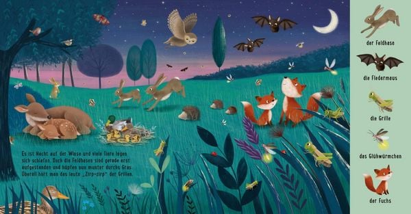 Produktbild: Mein erstes Natur-Wimmelbuch: Tiere auf der Wiese
