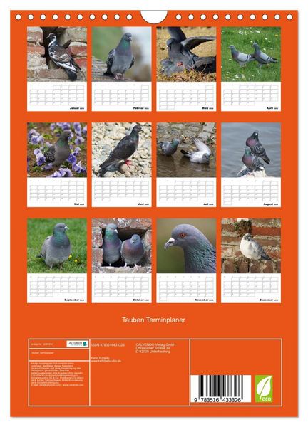 Produktbild: Tauben Terminplaner (Wandkalender 2026 DIN A4 hoch), CALVENDO Monatskalender