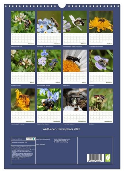 Produktbild: Wildbienen-Terminplaner 2026 (Wandkalender 2026 DIN A3 hoch), CALVENDO Monatskalender