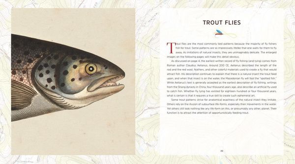 Produktbild: The Art of the Fishing Fly