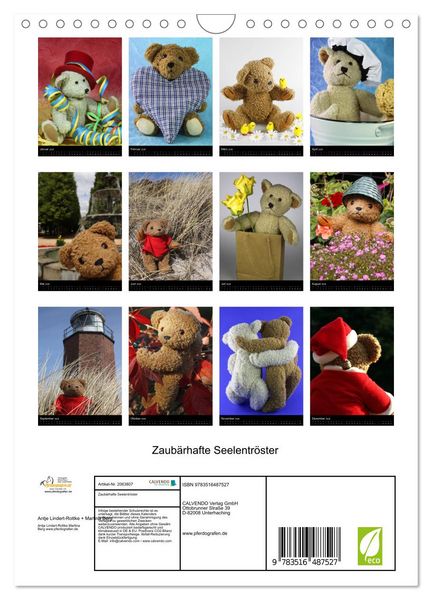 Produktbild: Zaub&auml;rhafte Seelentr&ouml;ster (Wandkalender 2026 DIN A4 hoch), CALVENDO Monatskalender