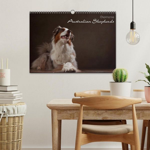 Produktbild: Charmante Australian Shepherds (Wandkalender 2026 DIN A3 quer), CALVENDO Monatskalender