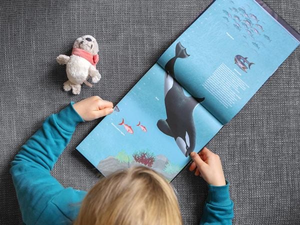 Produktbild: Hinab ins tiefe Blau