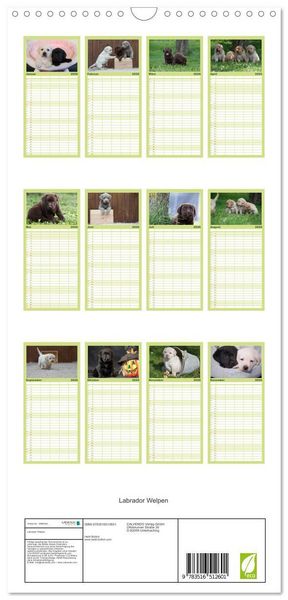 Produktbild: Familienplaner 2026 - Labrador Welpen mit 5 Spalten (Wandkalender, 21 x 45 cm) CALVENDO