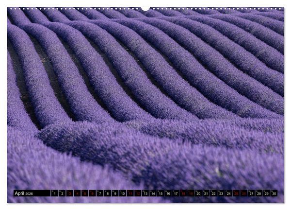 Produktbild: Provence im Rausch der Farben (hochwertiger Premium Wandkalender 2026 DIN A2 quer), Kunstdruck in Hochglanz