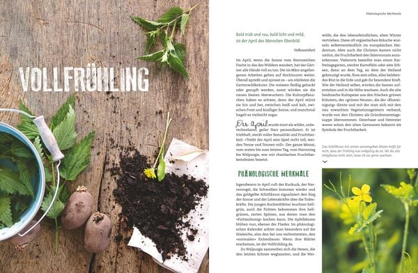 Der Selbstversorger: Mein Gartenjahr