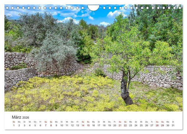 Produktbild: Mallorca Traumhafte Insel (Wandkalender 2026 DIN A4 quer), CALVENDO Monatskalender