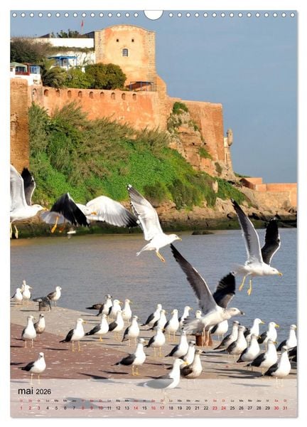 Produktbild: La mouette (Calendrier mural 2026 DIN A3 horizontal), CALVENDO calendrier mensuel