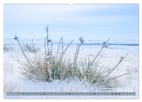 Produktbild: Wildwuchs 2026 (hochwertiger Premium Wandkalender 2026 DIN A2 quer), Kunstdruck in Hochglanz