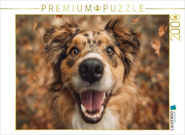CALVENDO Puzzle Herbstglück auf vier Pfoten | 2000 Teile Lege-Größe 90 × 67 cm Foto-Puzzle für glückliche Stunden