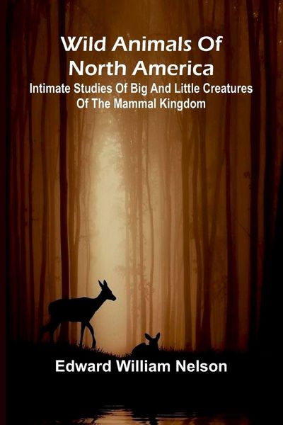 Produktbild: Wild Animals of North America Intimate Studies of Big and Little Creatures of the Mammal Kingdom