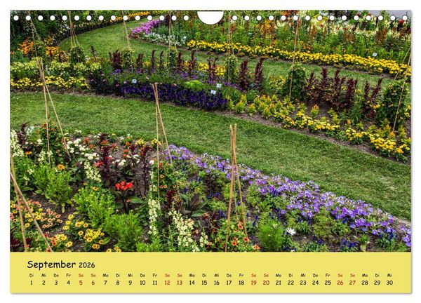 Produktbild: Erfurt erbl&uuml;ht (Wandkalender 2026 DIN A4 quer), CALVENDO Monatskalender