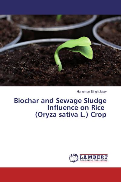 Produktbild: Biochar and Sewage Sludge Influence on Rice (Oryza sativa L.) Crop