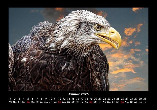 Produktbild: Adler 2025 Fotokalender DIN A3