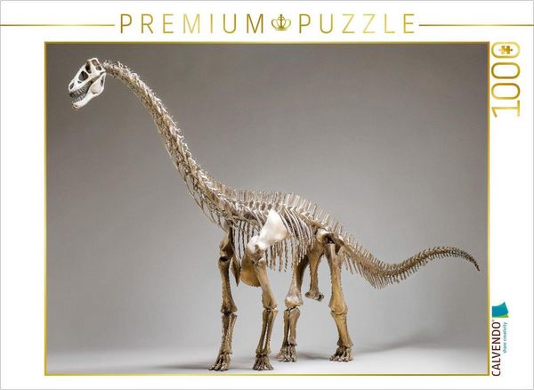 CALVENDO Puzzle Dinosaurier Brachiosaurus-Skelett mit langem Hals und kräftigem Körper | 1000 Teile Lege-Größe 64x48cm Foto-Puzzle für glückliche Stun